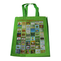 九龙坡LB11覆膜无纺布广告袋