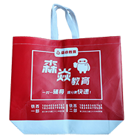 九龙坡LB37培训班广告袋